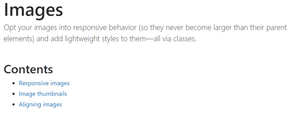 Bootstrap images  authoritative documentation