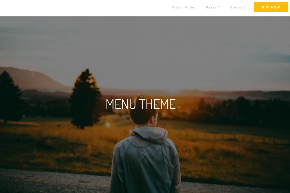 Web Template